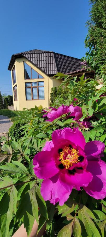 Villa Трушки34 Trushki Esterno foto